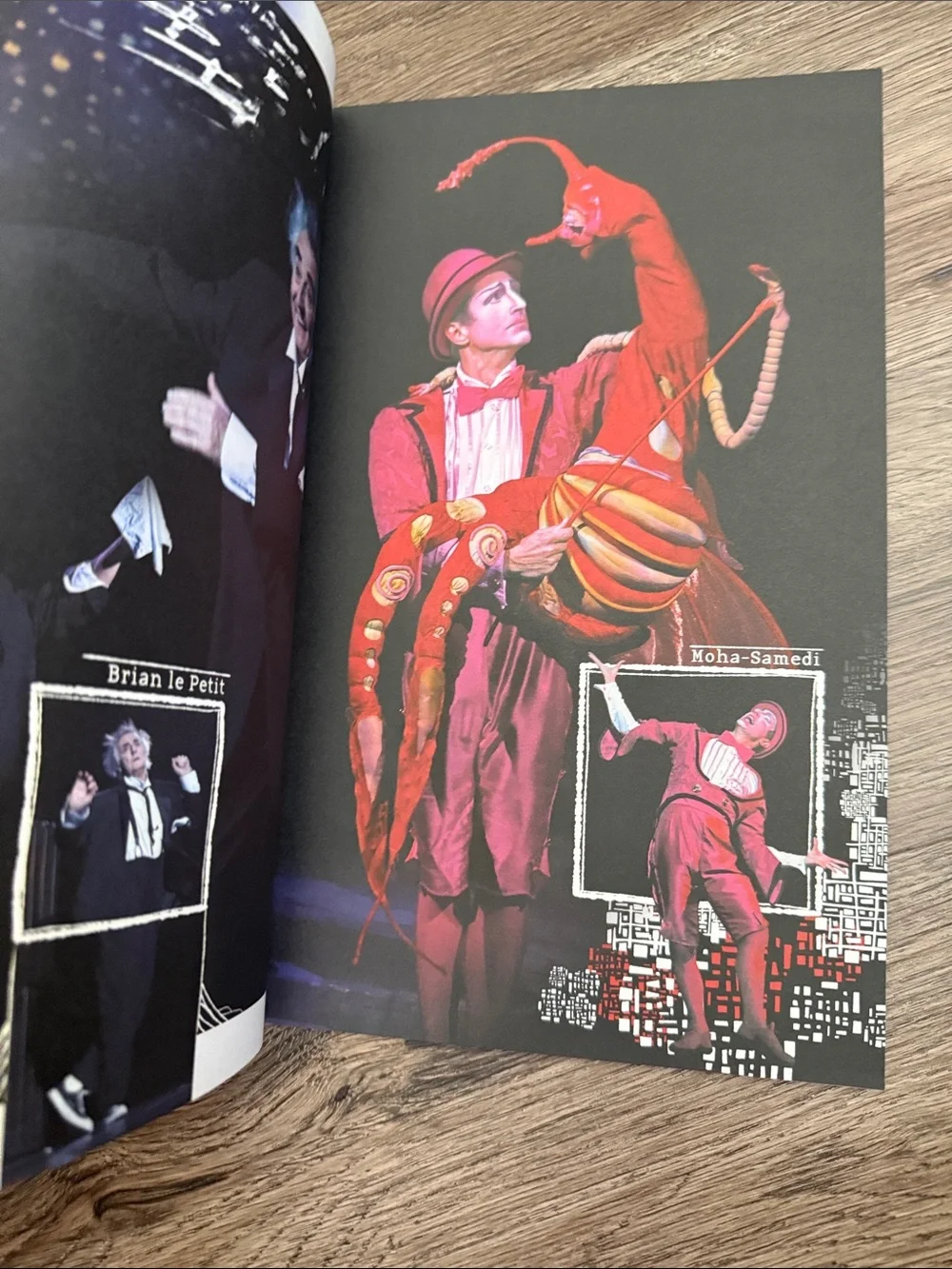 Cirque Du Soleil add piece